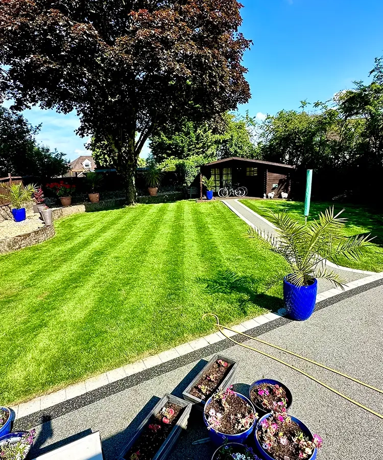 Beautifully Striped Lawn